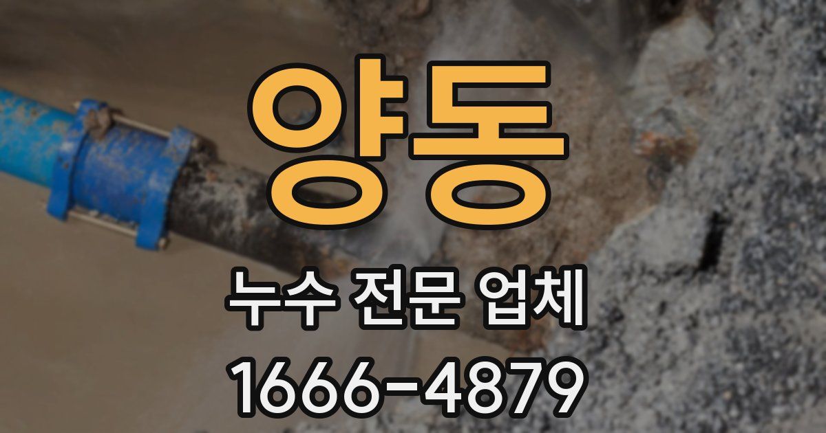 양동 누수 전문 업체