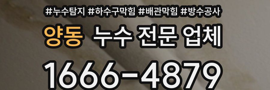 양동 누수 전문 업체