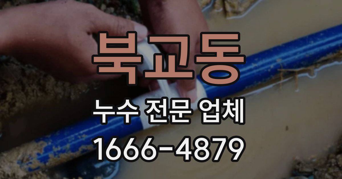 북교동 누수 전문 업체