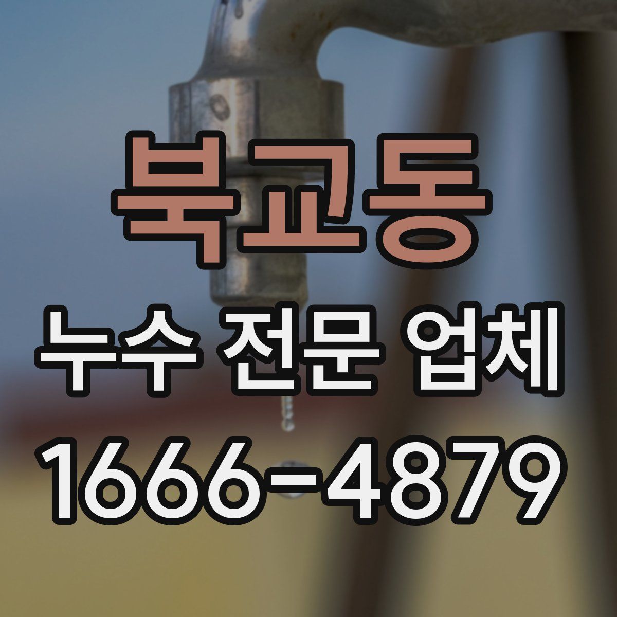 북교동 누수 전문 업체