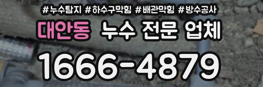 대안동 누수 전문 업체