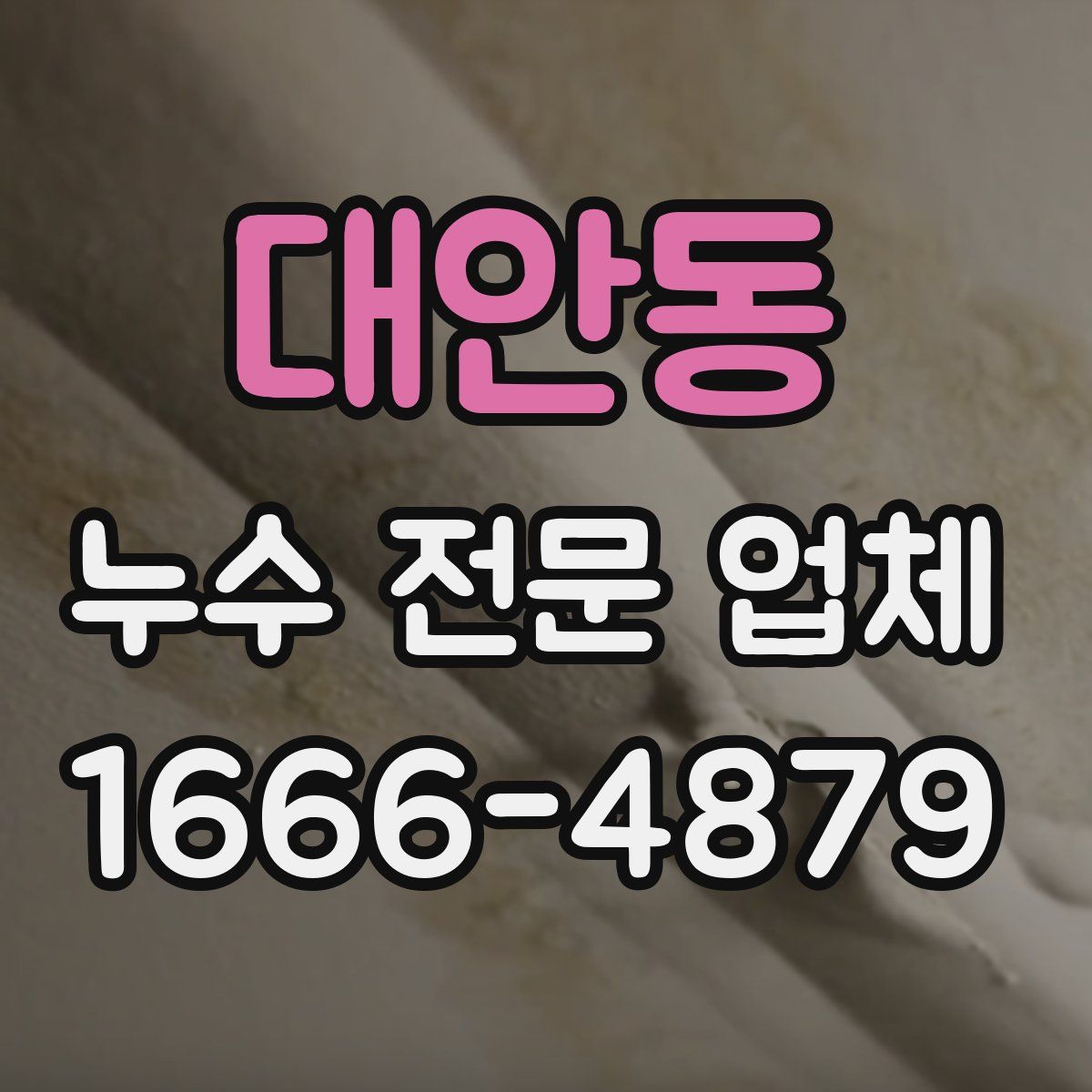 대안동 누수 전문 업체