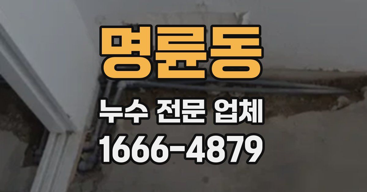 명륜동 누수 전문 업체