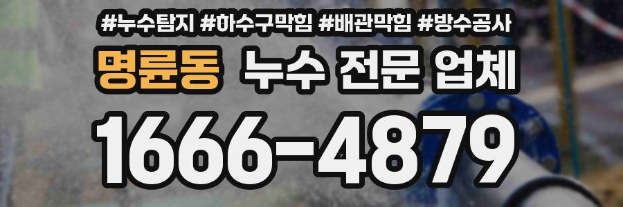 명륜동 누수 전문 업체