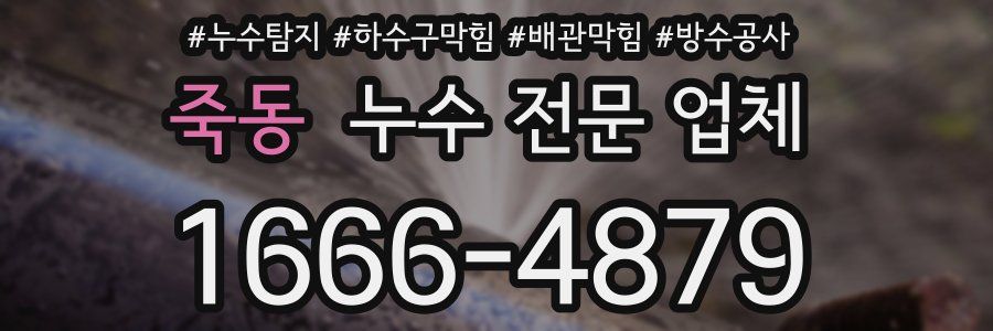죽동 누수 전문 업체