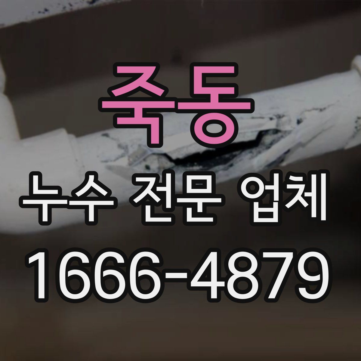 죽동 누수 전문 업체