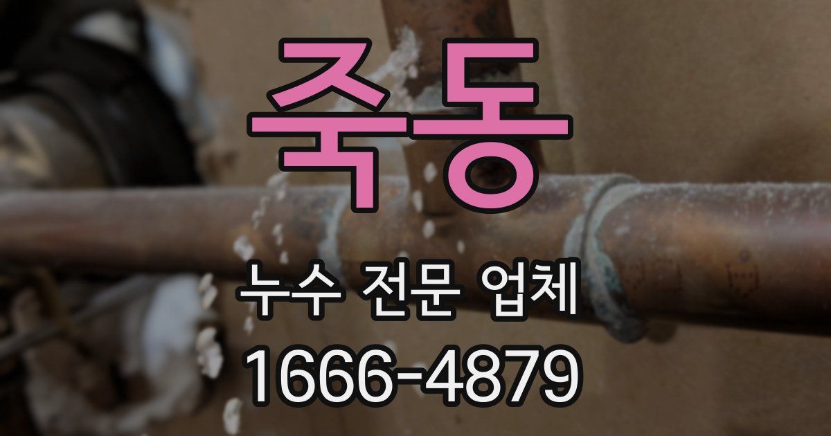 죽동 누수 전문 업체