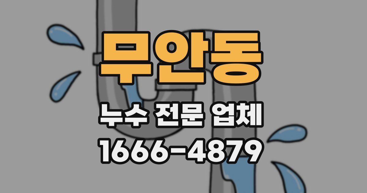 무안동 누수 전문 업체