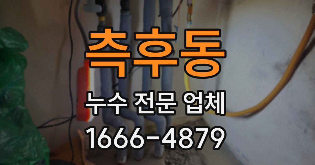 측후동 누수 전문 업체