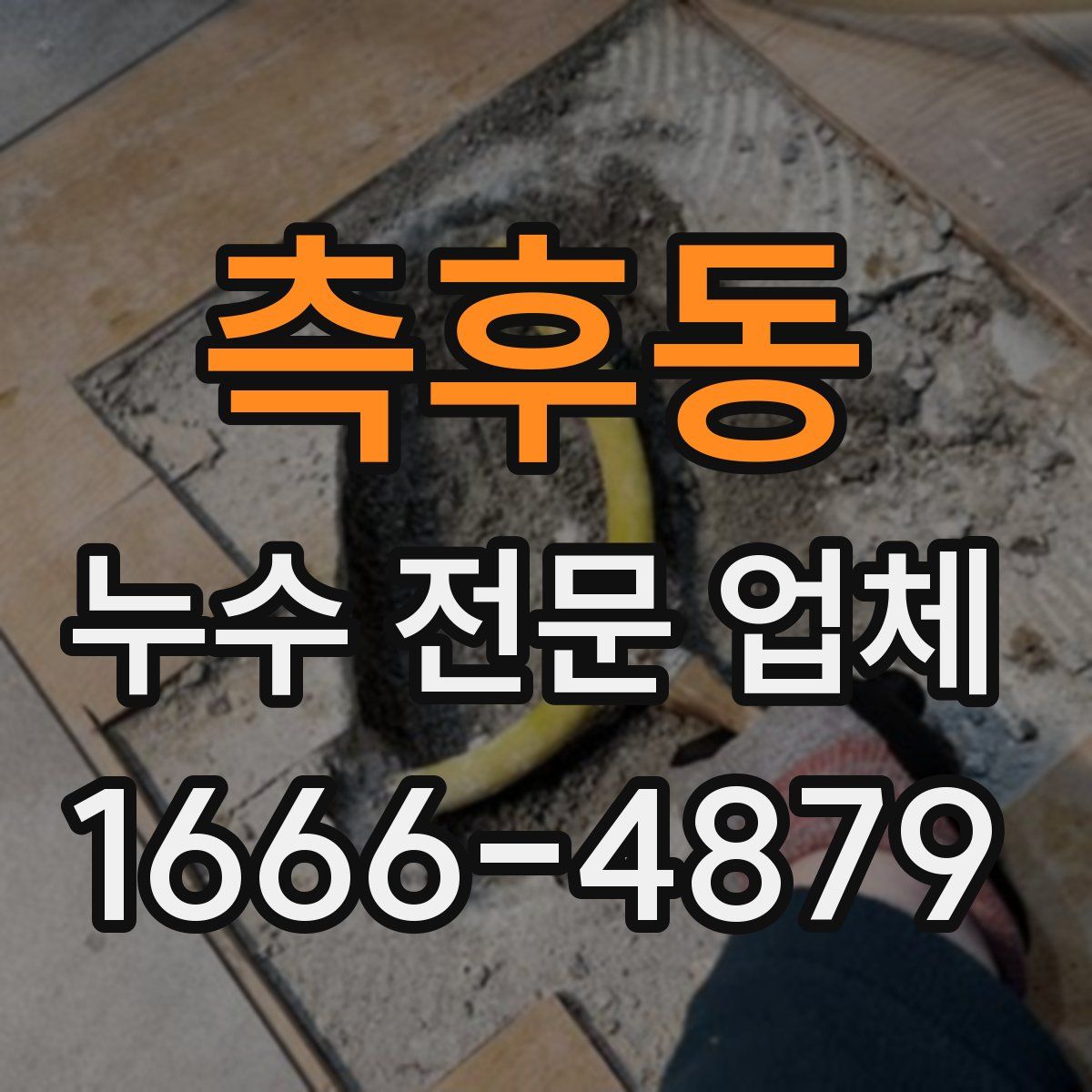 측후동 누수 전문 업체