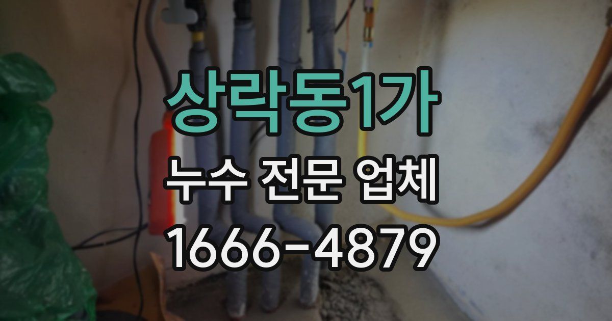 상락동1가 누수 전문 업체