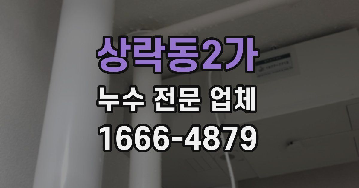상락동2가 누수 전문 업체