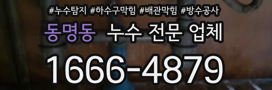 동명동 누수 전문 업체