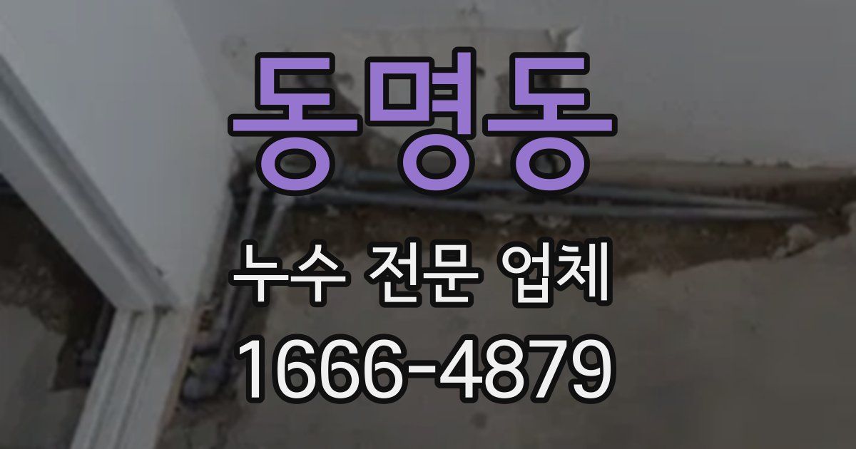 동명동 누수 전문 업체