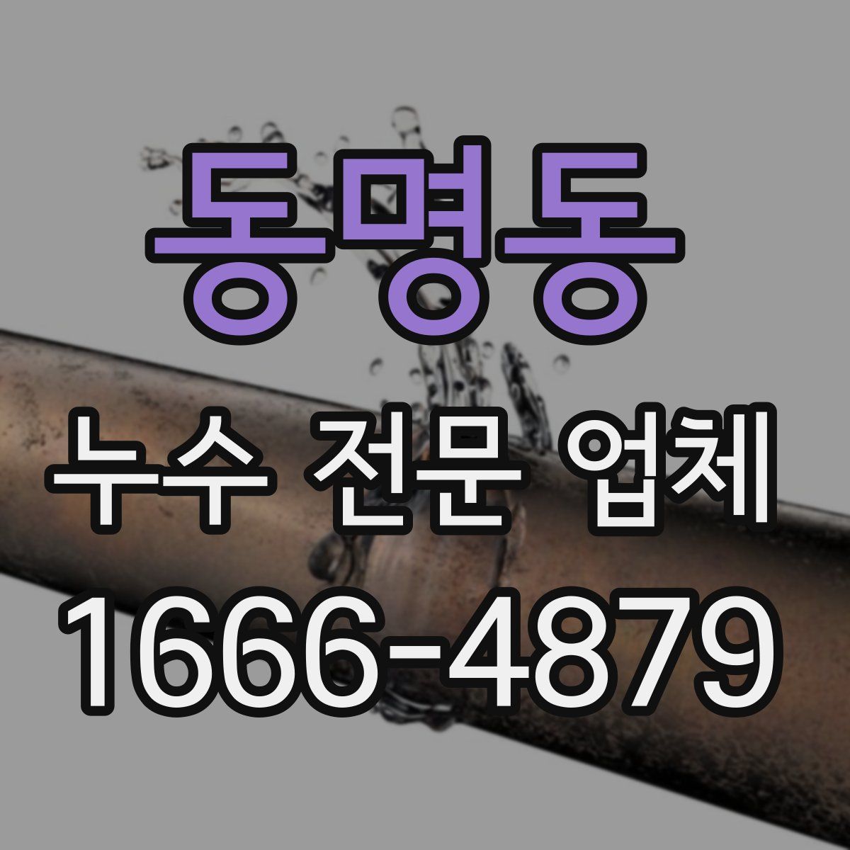 동명동 누수 전문 업체