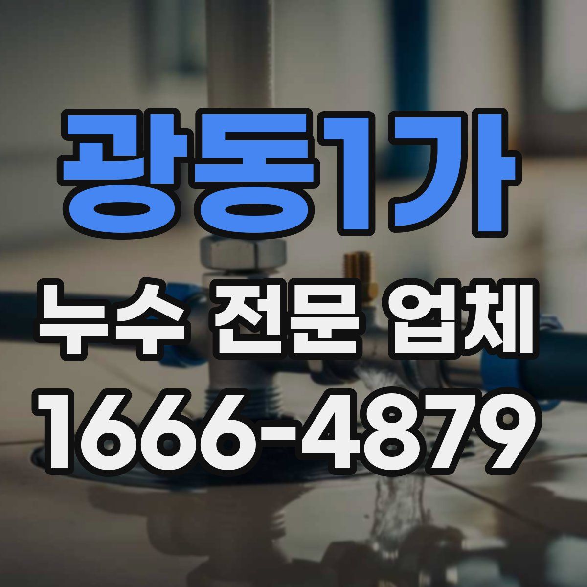 광동1가 누수 전문 업체