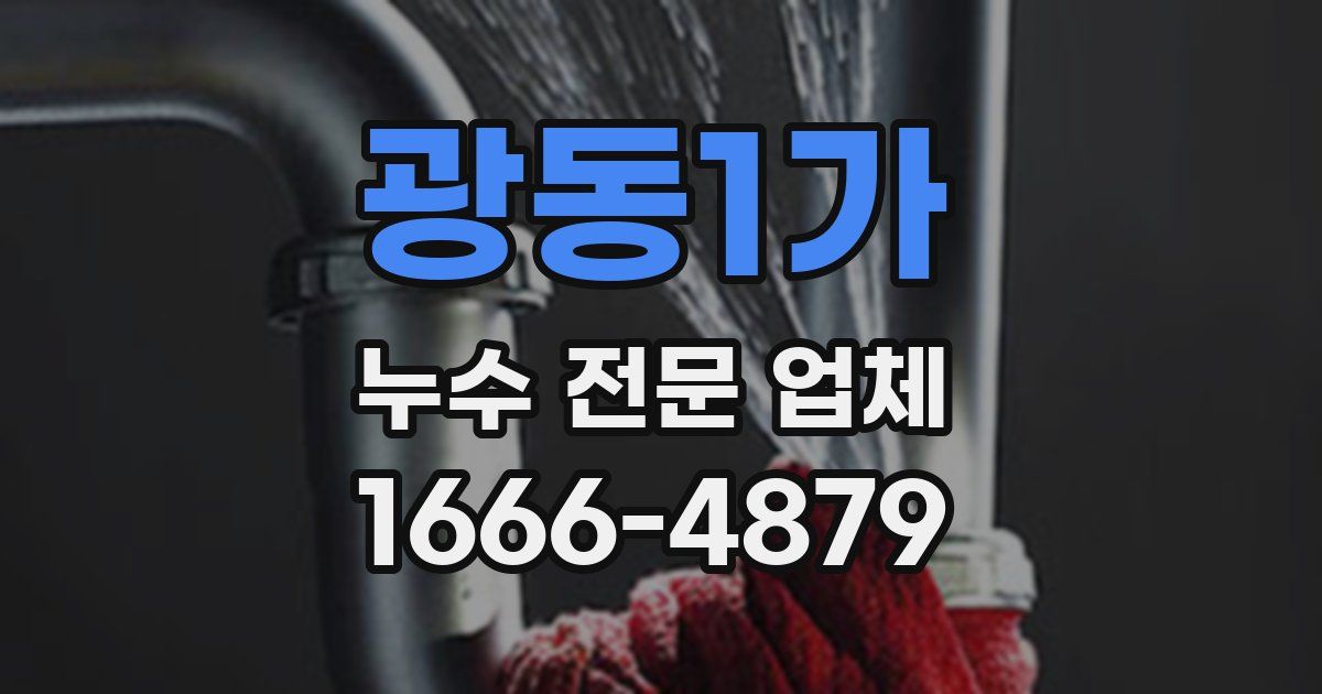 광동1가 누수 전문 업체