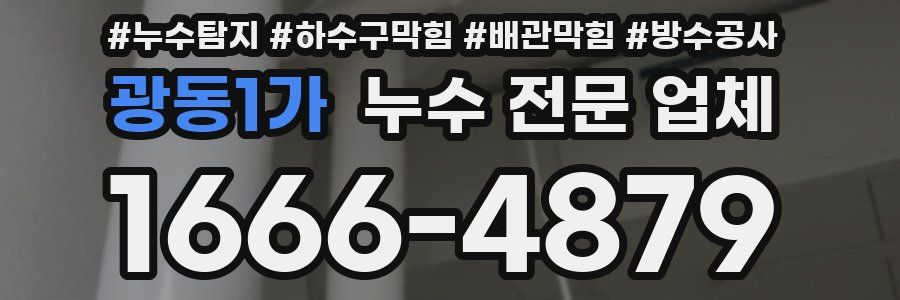 광동1가 누수 전문 업체