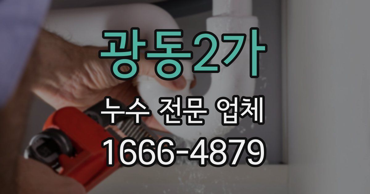 광동2가 누수 전문 업체