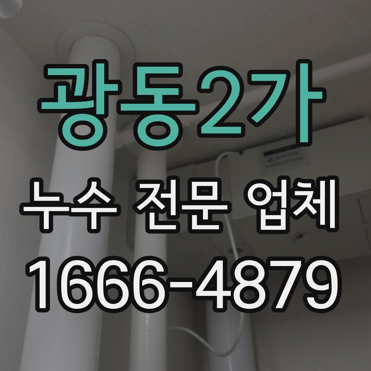 광동2가 누수 전문 업체