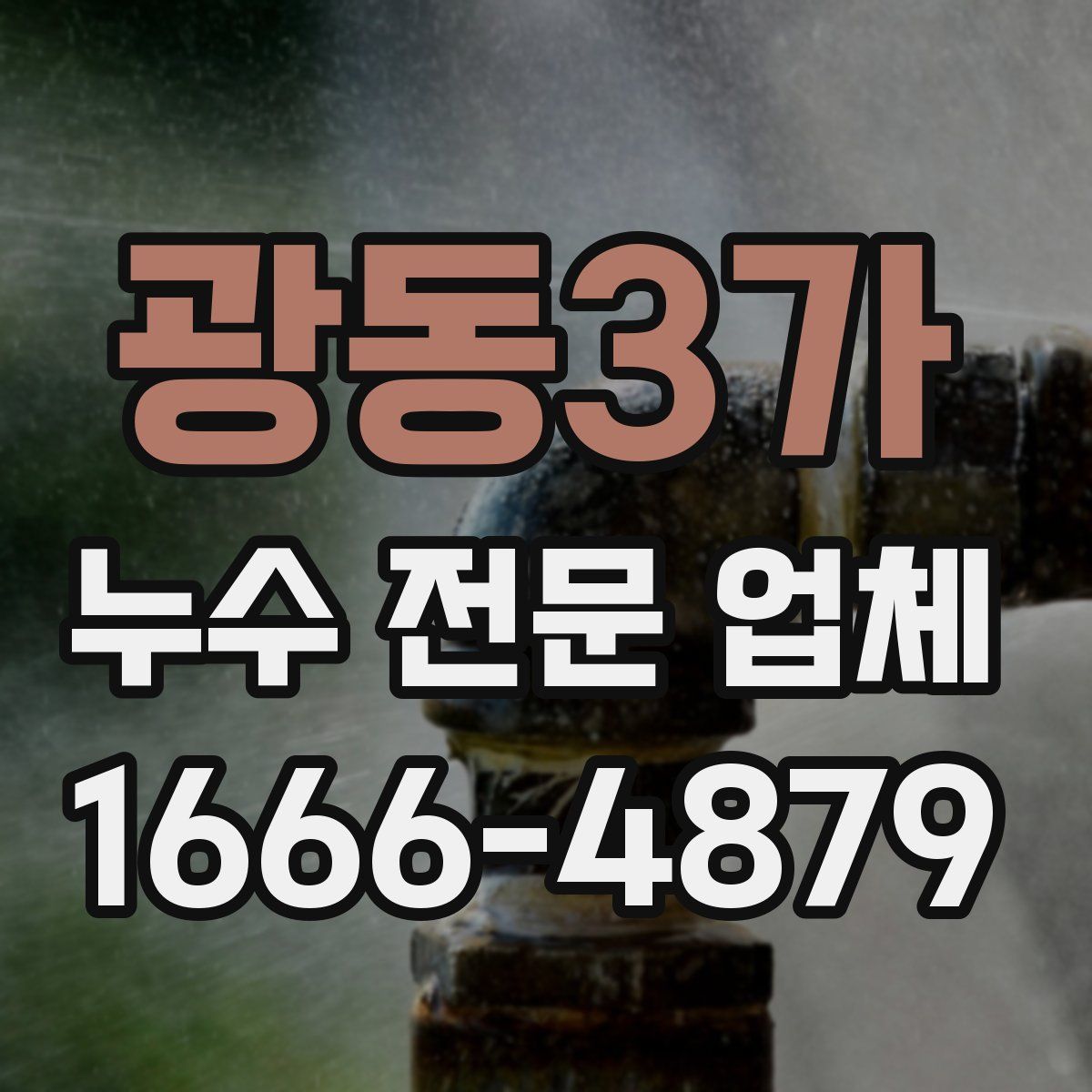 광동3가 누수 전문 업체