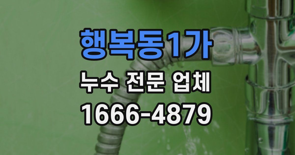 행복동1가 누수 전문 업체