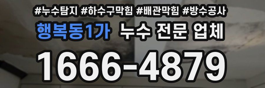 행복동1가 누수 전문 업체
