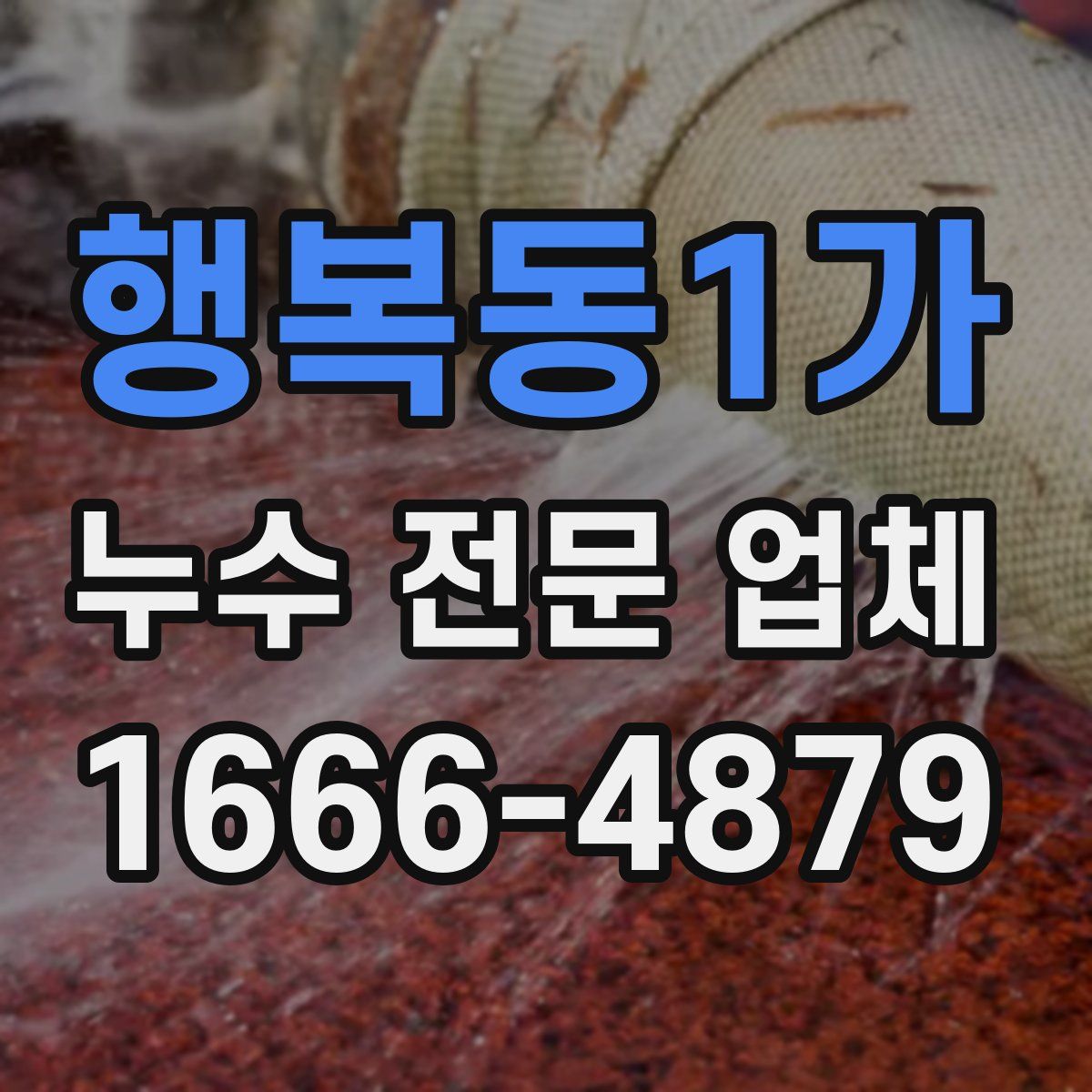 행복동1가 누수 전문 업체