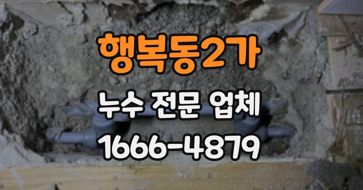 행복동2가 누수 전문 업체