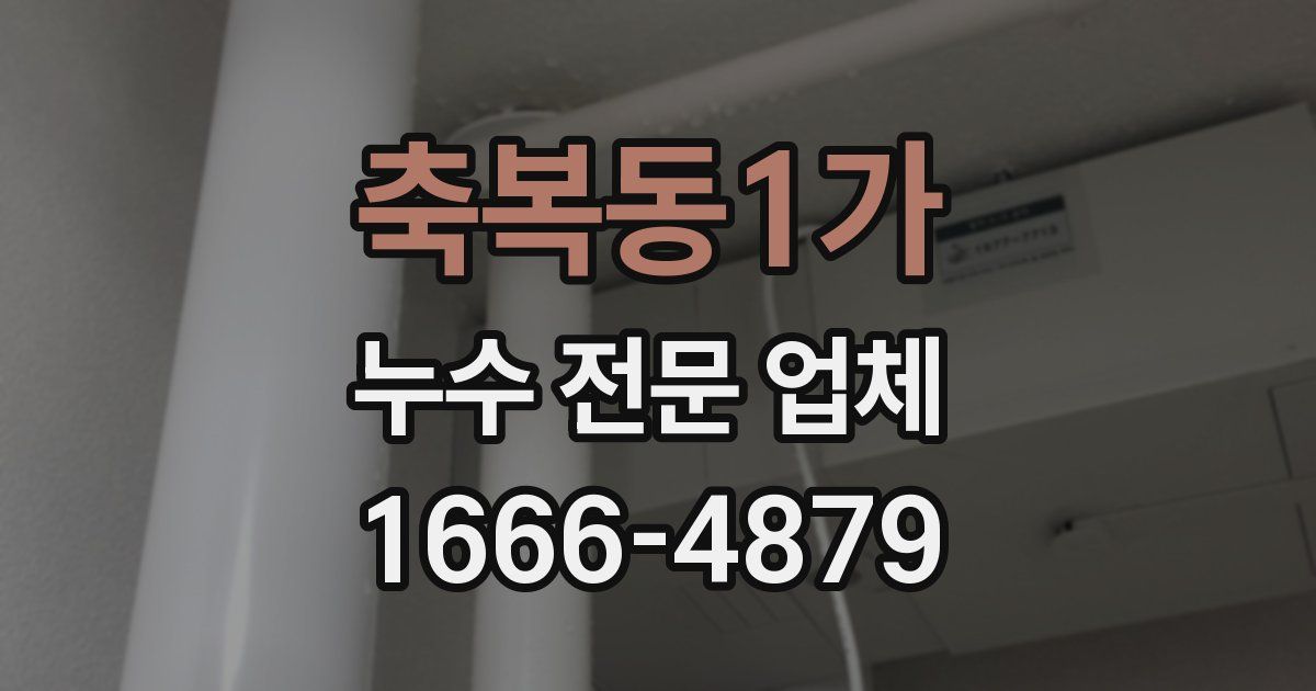 축복동1가 누수 전문 업체