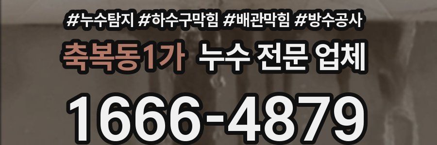 축복동1가 누수 전문 업체