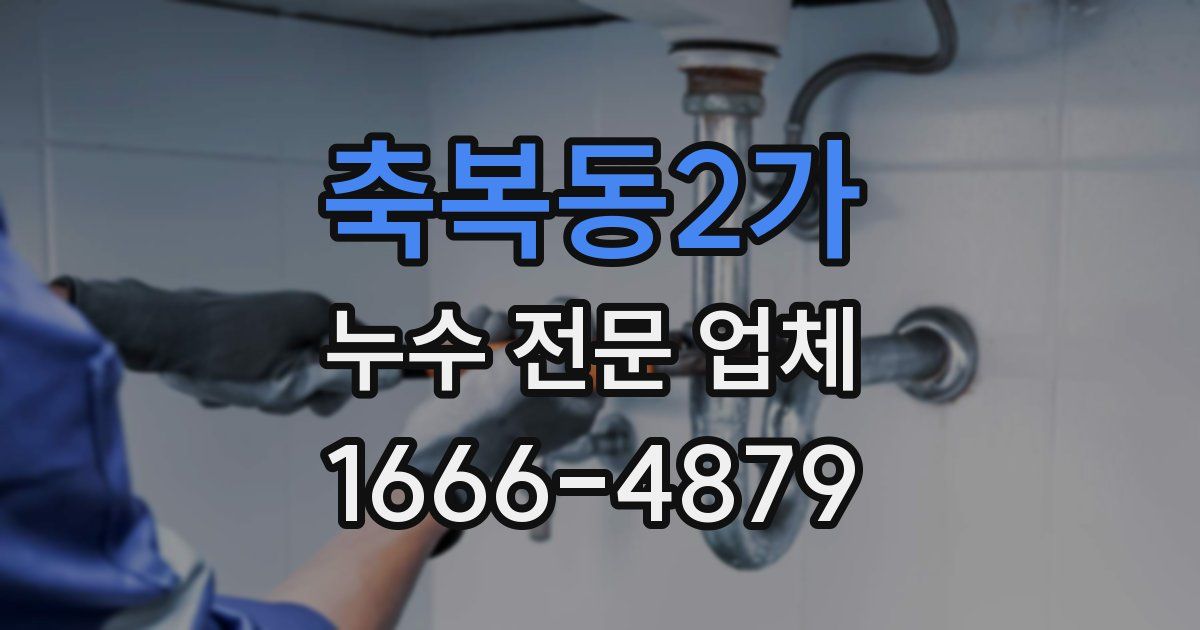 축복동2가 누수 전문 업체