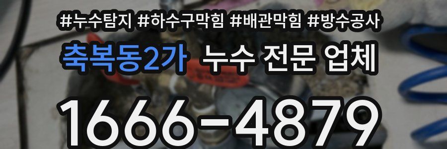 축복동2가 누수 전문 업체