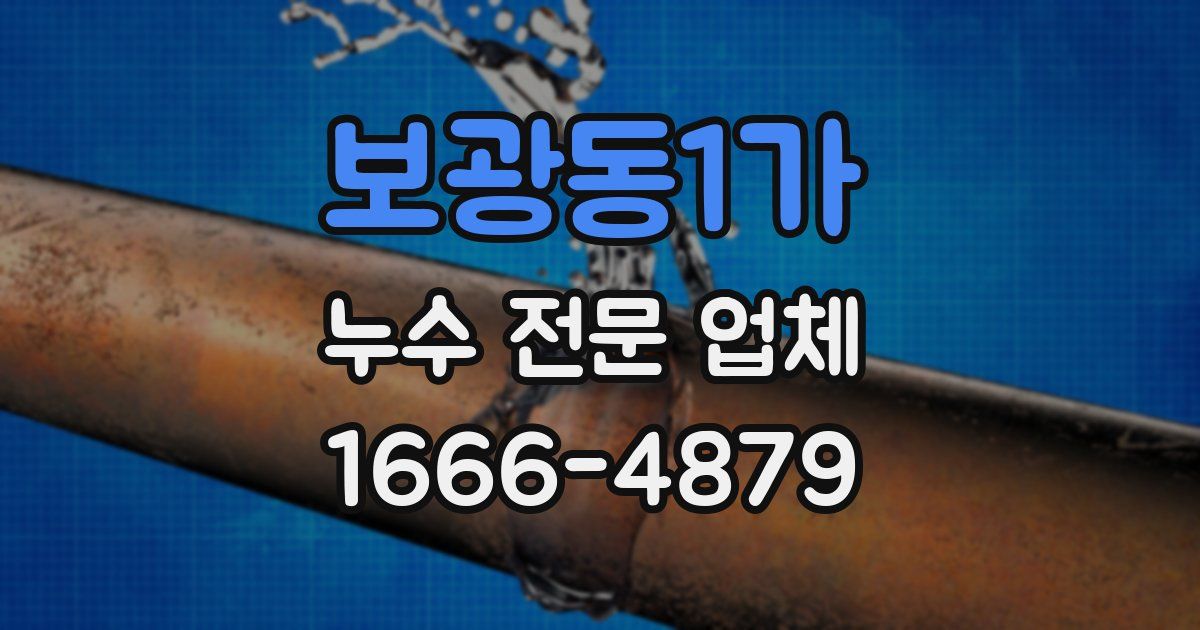 보광동1가 누수 전문 업체