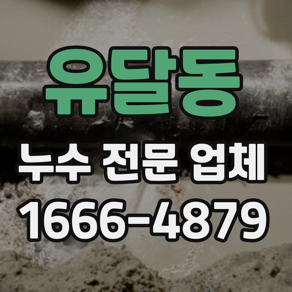 유달동 누수 전문 업체