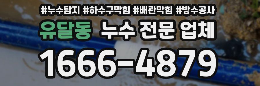 유달동 누수 전문 업체
