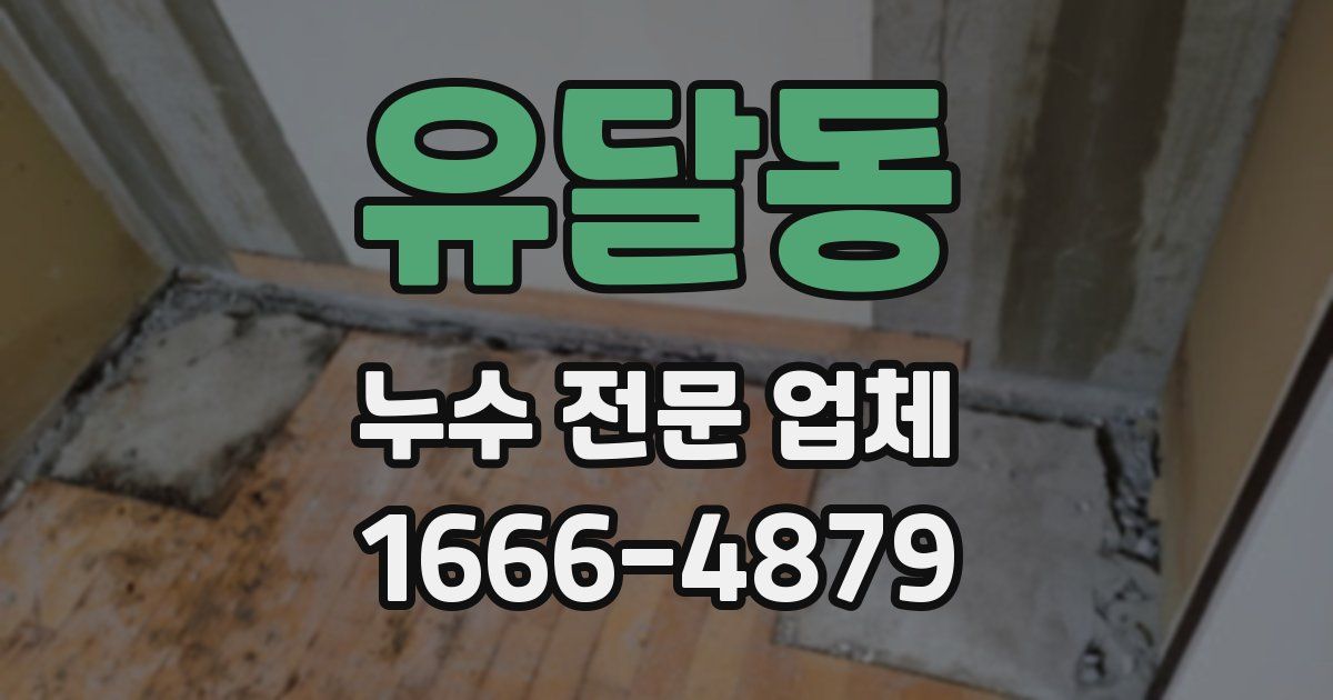 유달동 누수 전문 업체
