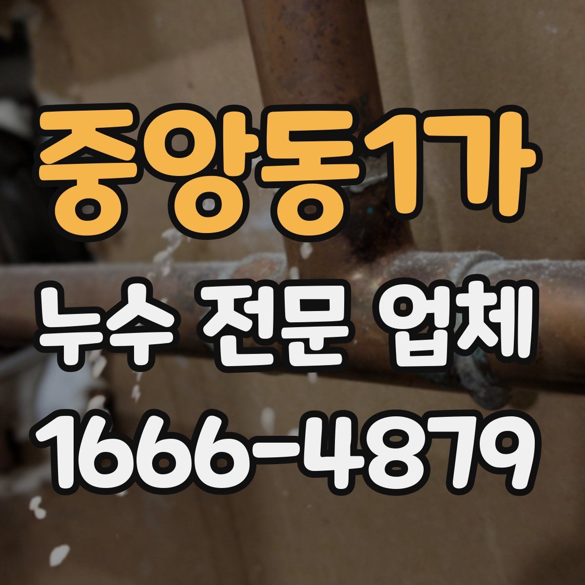 중앙동1가 누수 전문 업체