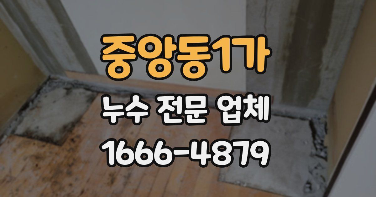 중앙동1가 누수 전문 업체