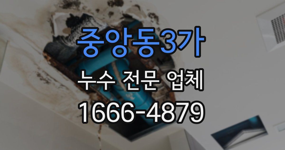 중앙동3가 누수 전문 업체