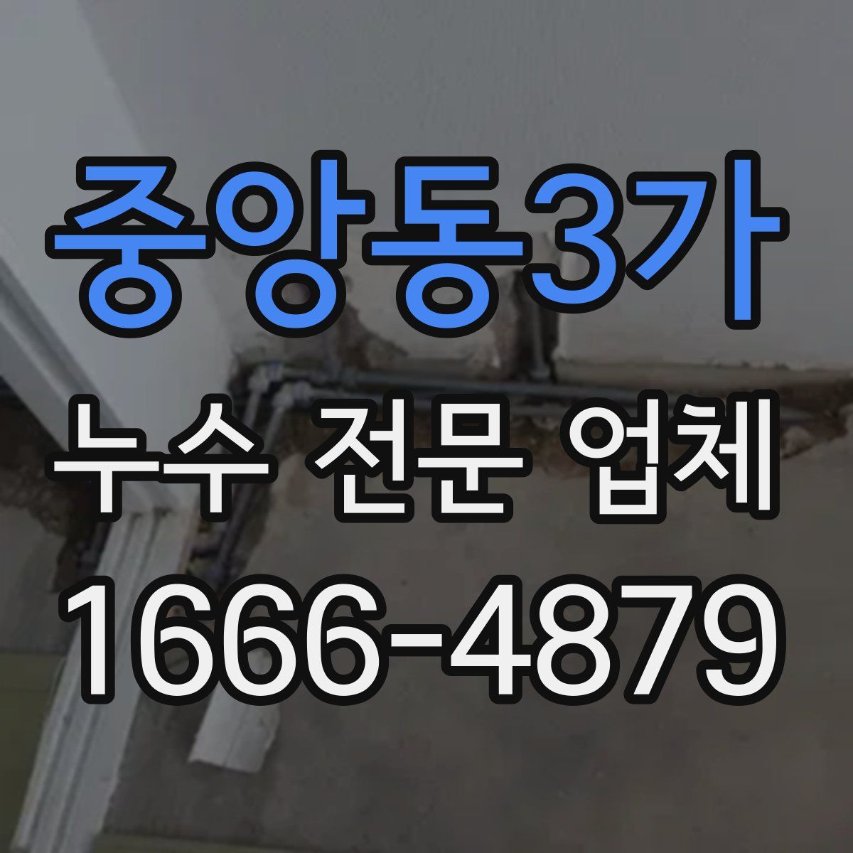 중앙동3가 누수 전문 업체