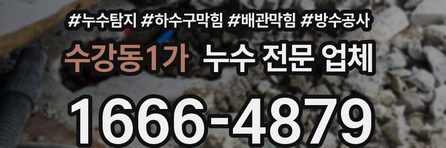 수강동1가 누수 전문 업체
