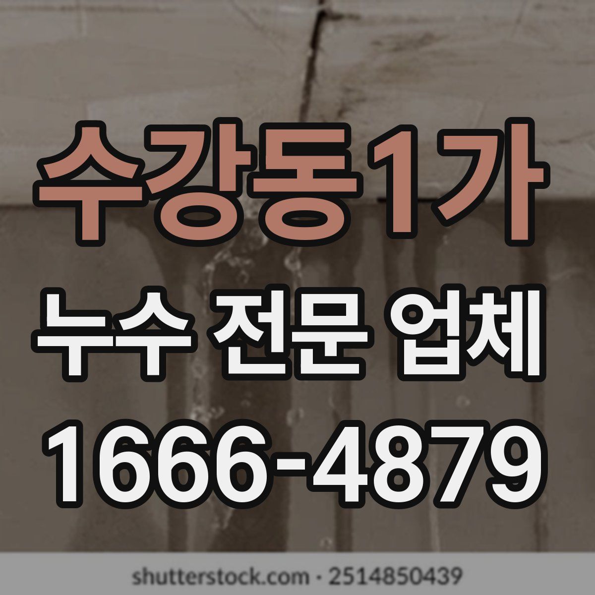수강동1가 누수 전문 업체