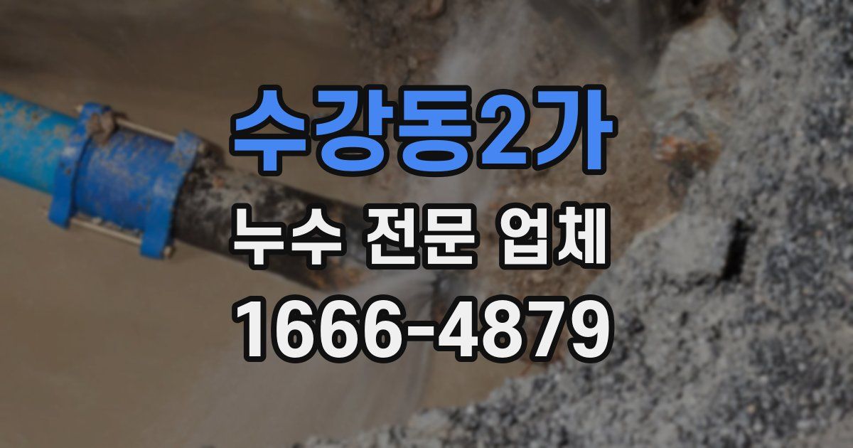 수강동2가 누수 전문 업체