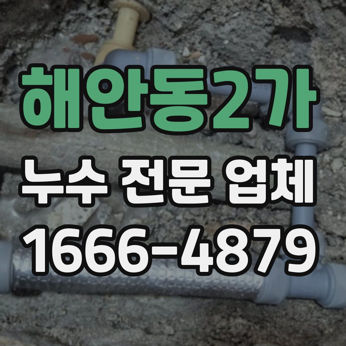해안동2가 누수 전문 업체