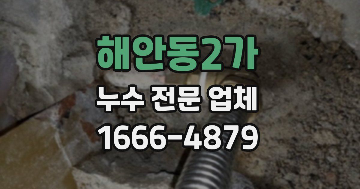 해안동2가 누수 전문 업체