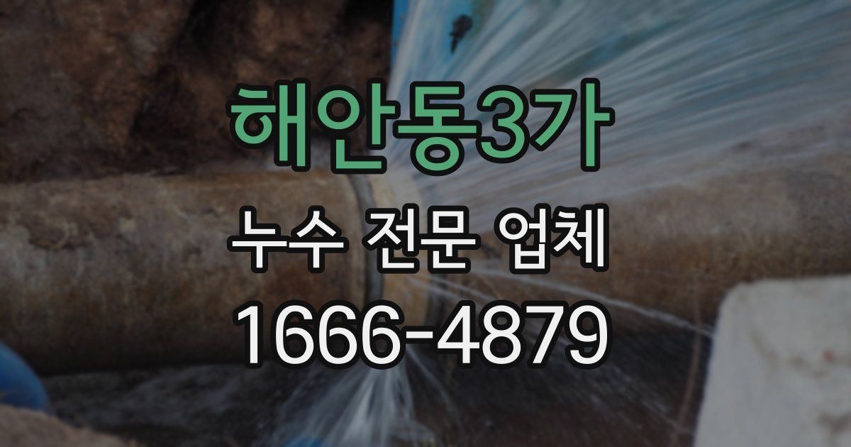 해안동3가 누수 전문 업체