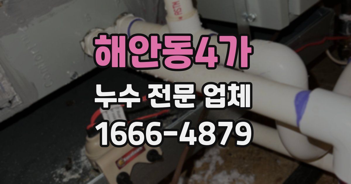 해안동4가 누수 전문 업체