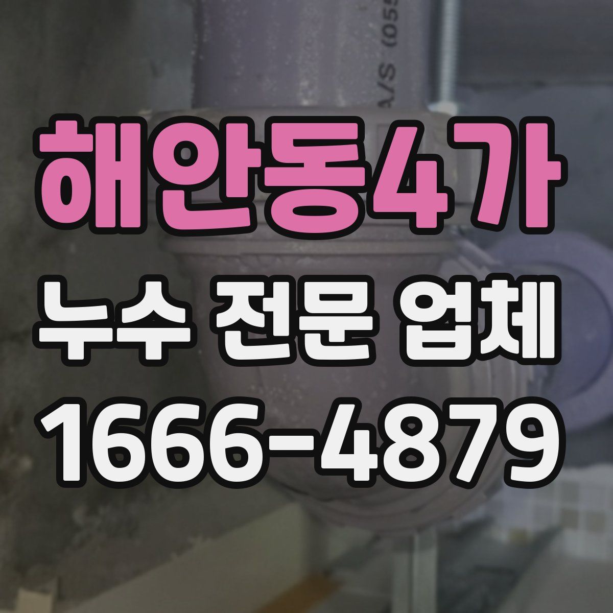 해안동4가 누수 전문 업체