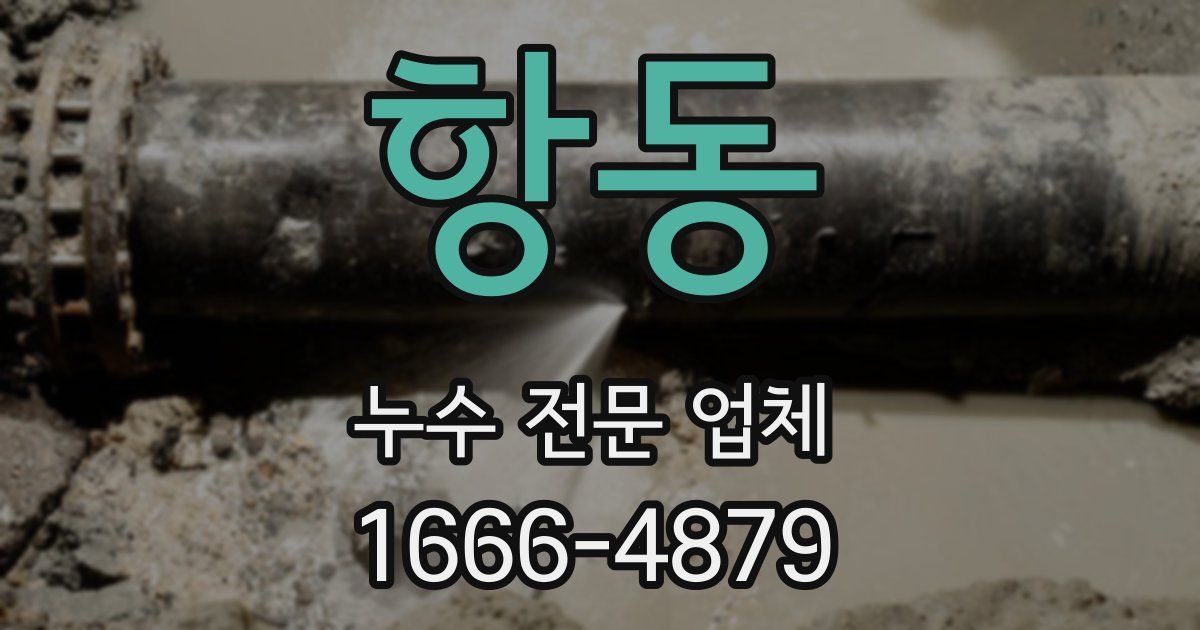 항동 누수 전문 업체